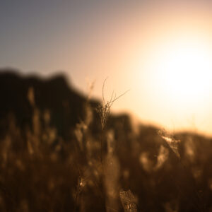 Badlands Sunset – South Dakota Landscape Photography