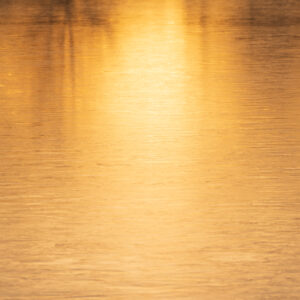 Reflected Light – Fort Collins, Colorado Photography