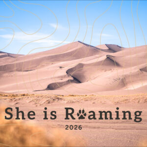 2026 Wall Calendar - 8.5x11