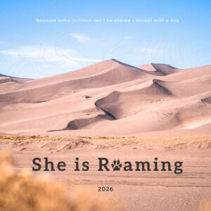 2026 Yearly Planner - 5x5