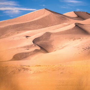 2026 Wall Calendar - 11x17